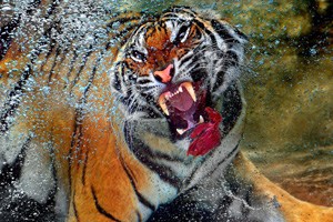 ͻˮГʳ (li)ݛӿ 