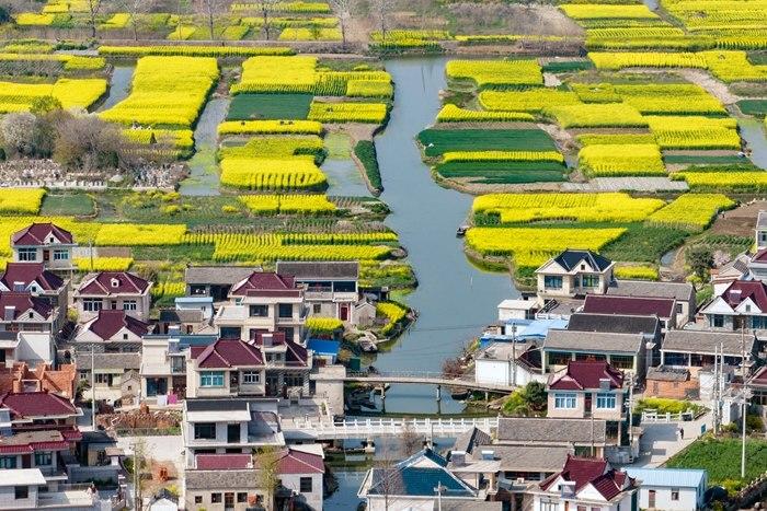 江蘇興化鄉村垛田景色旖旎蔚為壯觀(guān)