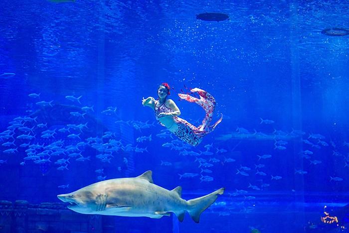 2023年中國美人魚(yú)公開(kāi)賽昆明站開(kāi)賽