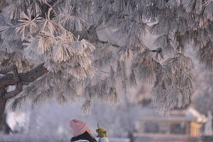 哈爾濱松花江畔現霧凇景觀(guān) 