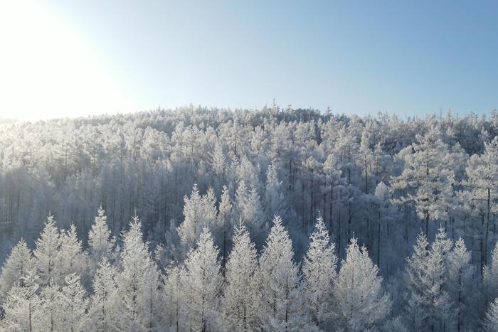 內蒙古大興安嶺：霧凇雪景宛若冰雪童話(huà)世界
