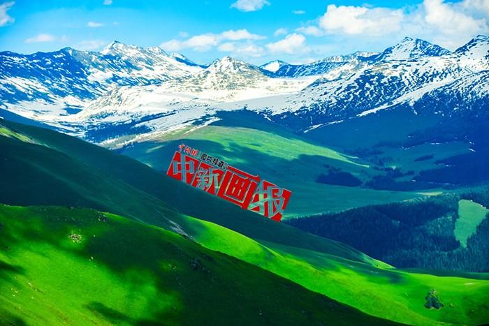 將夏天的“綠” 裝進(jìn)屏幕里，一組護眼壁紙請查收！