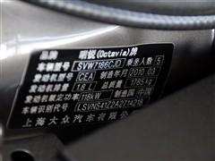܇(ch)֮ Ϻ˹_ J 2010 1.8tsi dsg