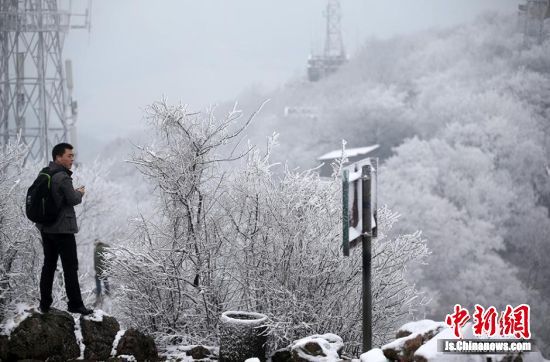 南京新年首場(chǎng)雪“低調”降臨