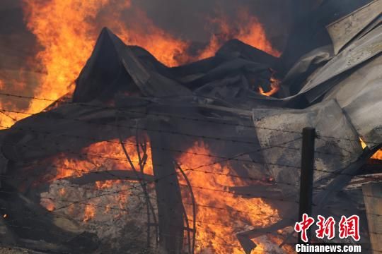 濟南伊利乳業(yè)過(guò)火面積達四千余平米 護林飛機滅火