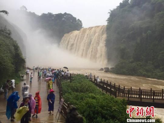 60余名臺商雨中觀(guān)黃果樹(shù)瀑布 看好貴州旅游發(fā)展前景