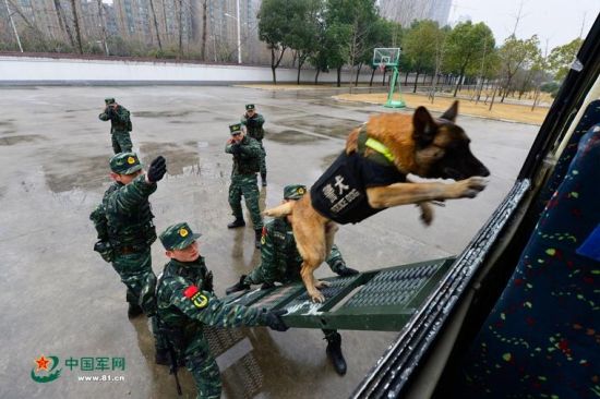 安徽武警備戰春運出動(dòng)無(wú)人機 警犬搶鏡