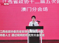 堅持后花園定位推進(jìn)老區灣區合作