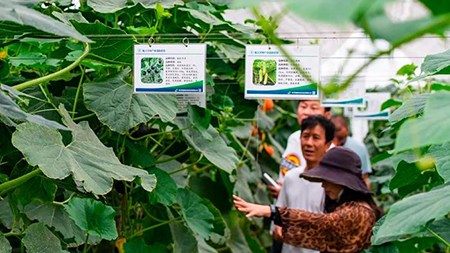 空間站與“卡脖子”，中國在警醒中爭取“逆襲