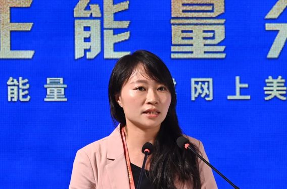 香港立法會(huì )議員陳穎欣：為國家發(fā)聲，展現真實(shí)的香港