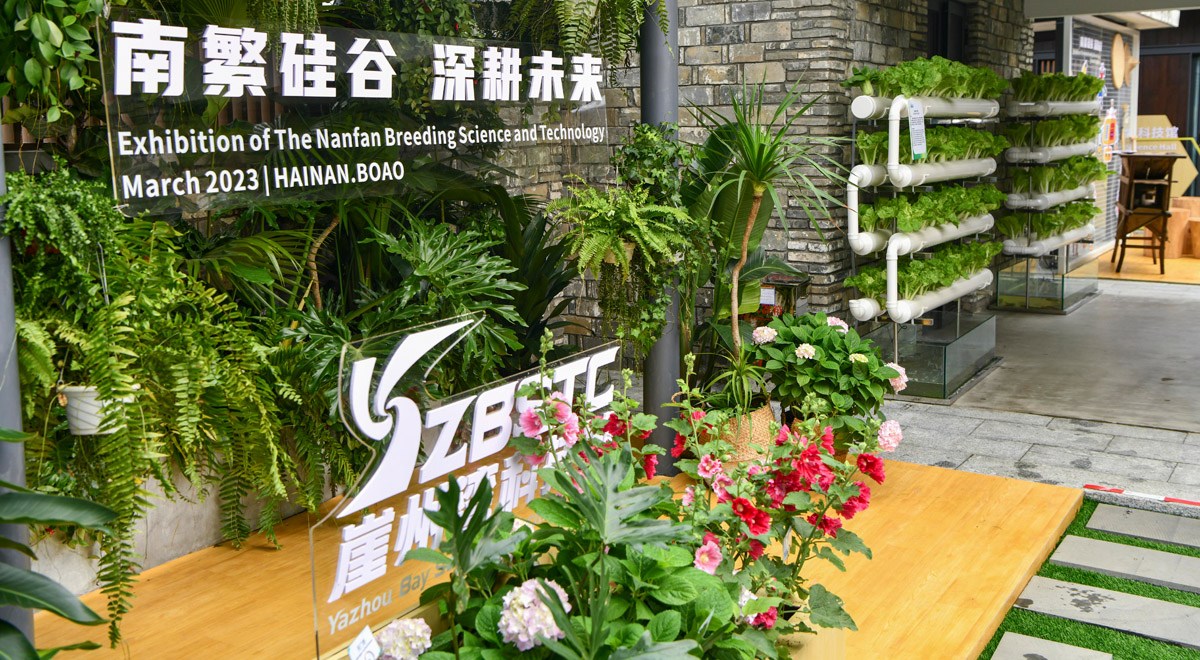 三亞攜南繁果實(shí)、深海利器亮相博鰲亞洲論壇年會(huì )