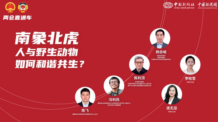 兩會(huì )直通車(chē)：南象北虎 人與野生動(dòng)物如何和諧共生？