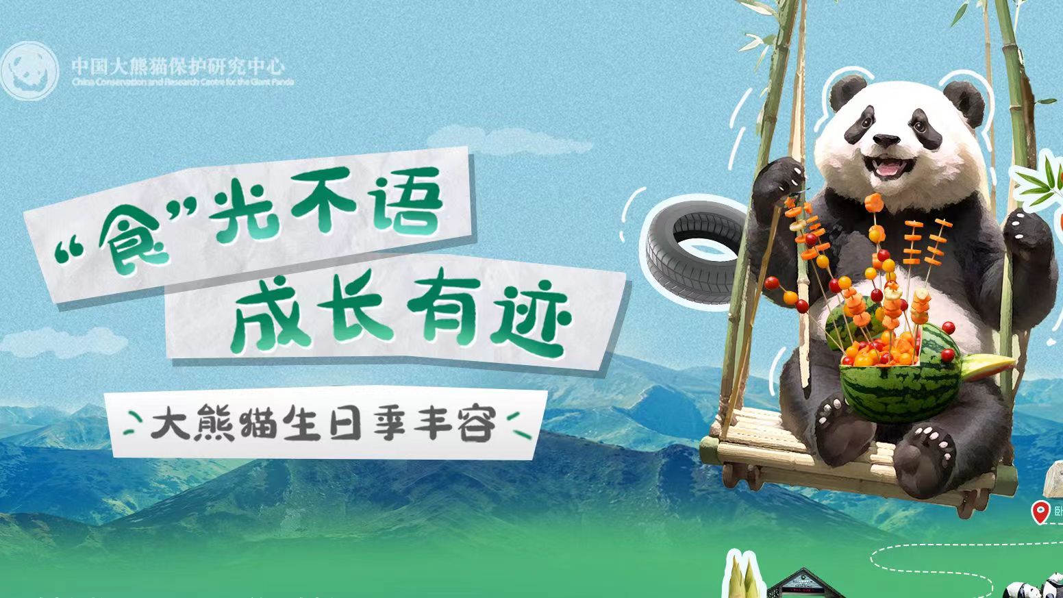  大熊貓也過(guò)中秋節？一起來(lái)看國寶的中秋禮物 
