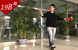 西田聰的相聲夢(mèng)