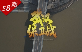 武漢保衛戰