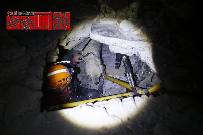 汪汪隊立大功！廢墟中尋找生命之光的搜救犬