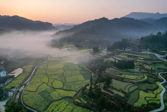 貴州鄉村油菜花綻放景色如畫(huà)