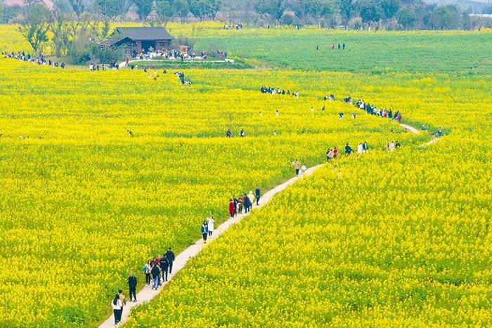 春暖花開(kāi)萬(wàn)物復蘇