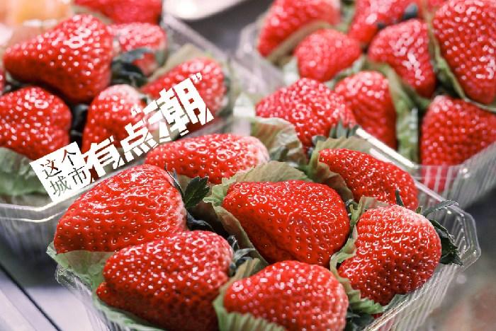 丹東：這一口鮮甜，開(kāi)啟冬日“莓”好時(shí)光