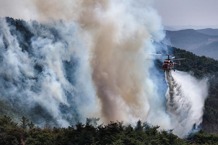 韓國發(fā)生大規模山火 多地進(jìn)入“災難狀態(tài)”