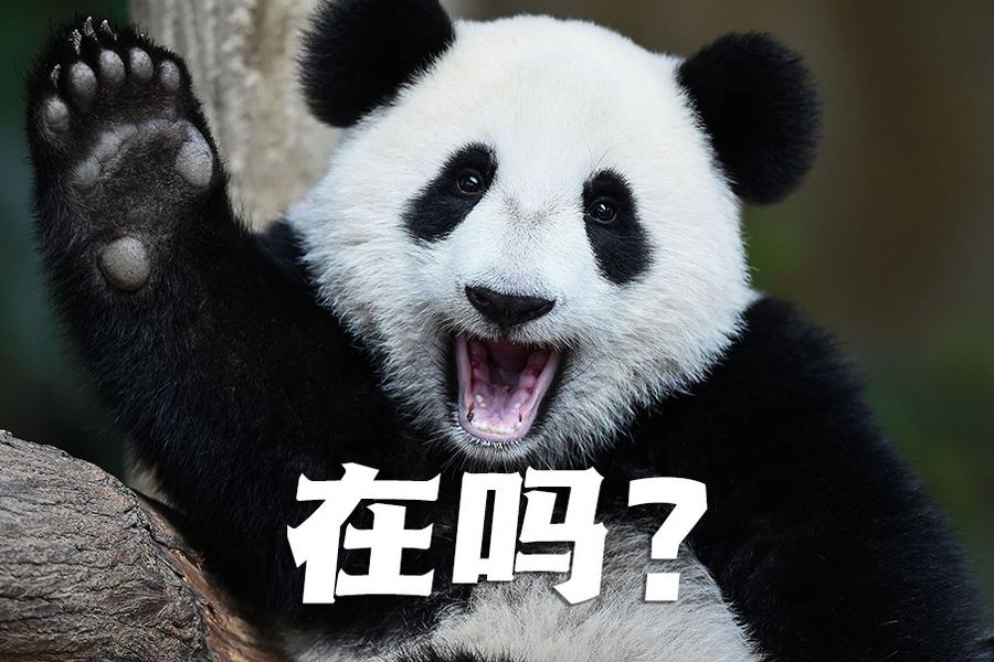 【世界微笑日特刊】嘿嘿，今天你笑了嗎？